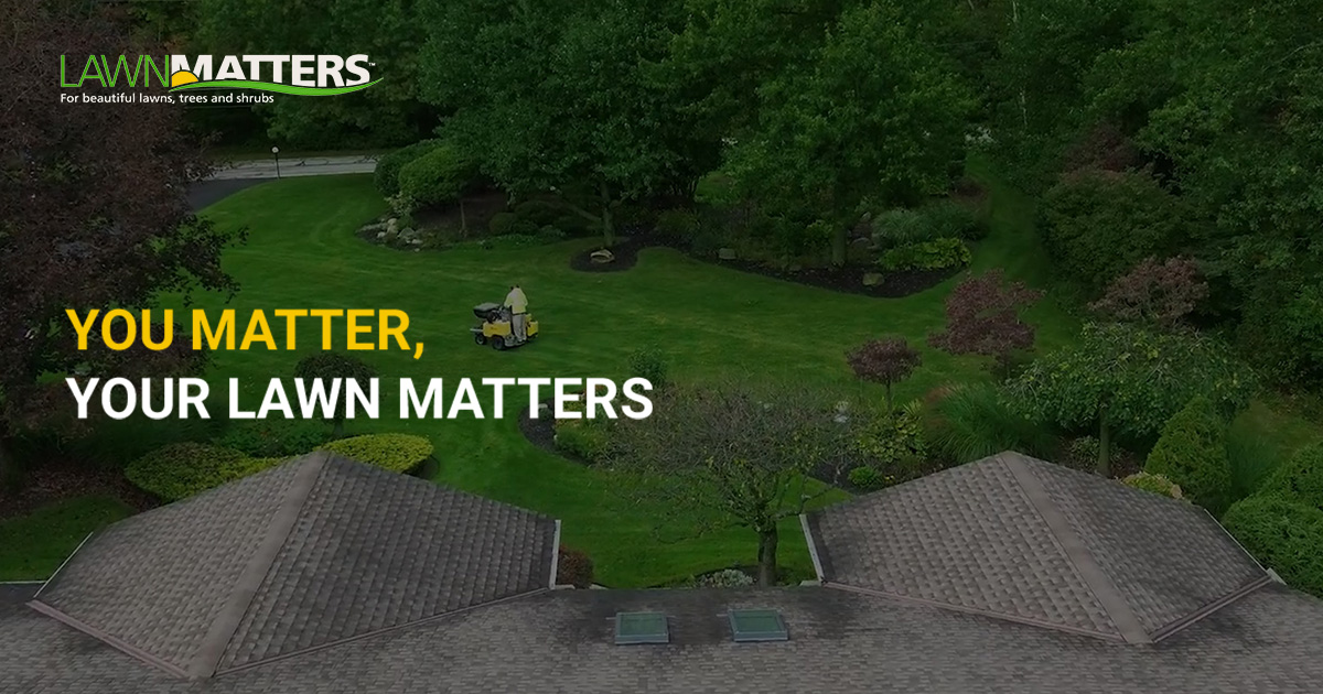 lawnmatters.com logo