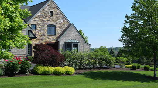 front lawn of a house